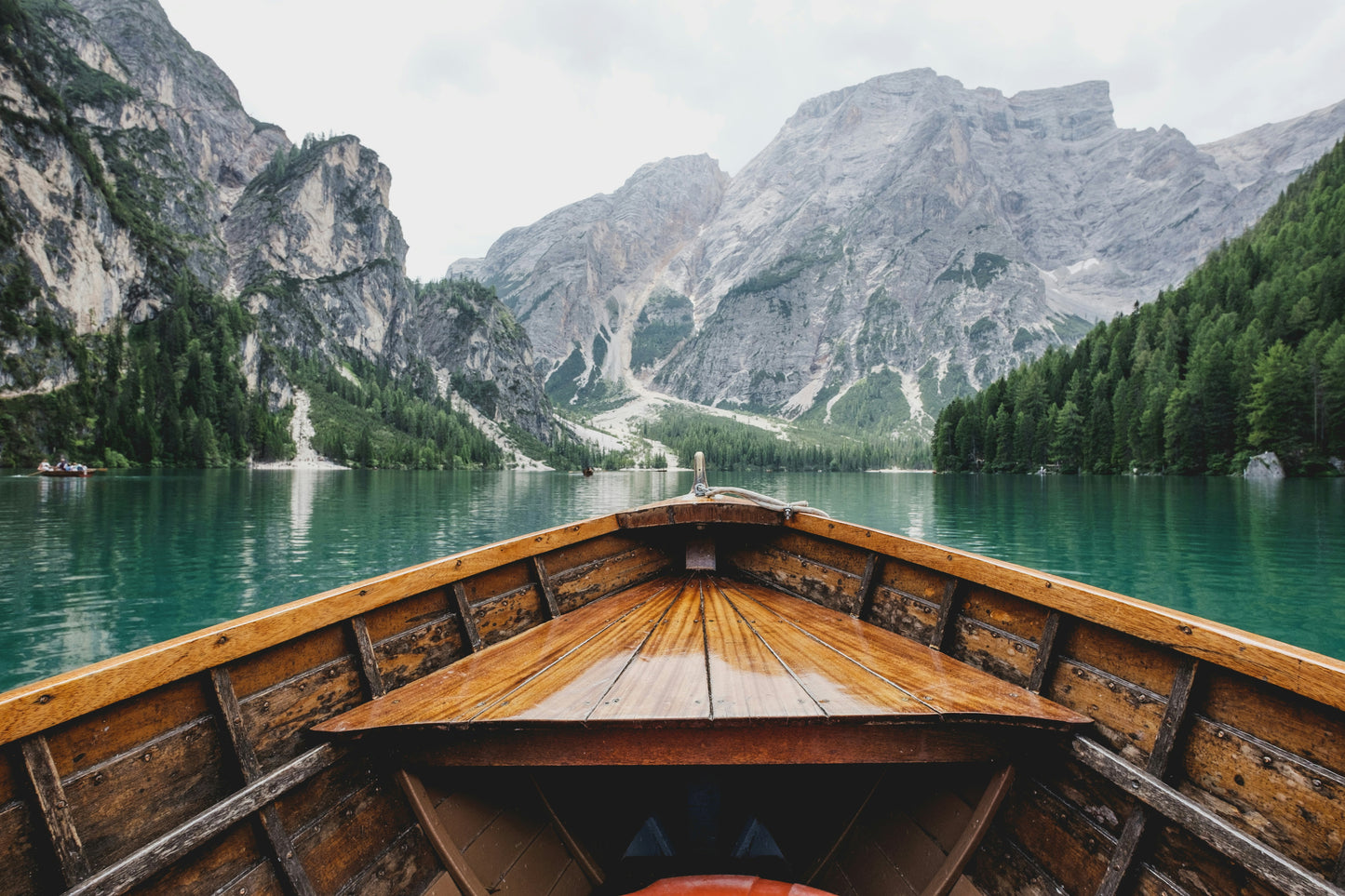 The Year Ahead Reading : Transits + Timing Astrology Consult