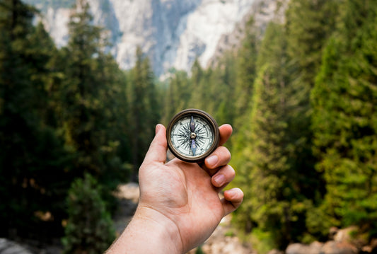 The Year Ahead Reading : Transits + Timing Astrology Consult